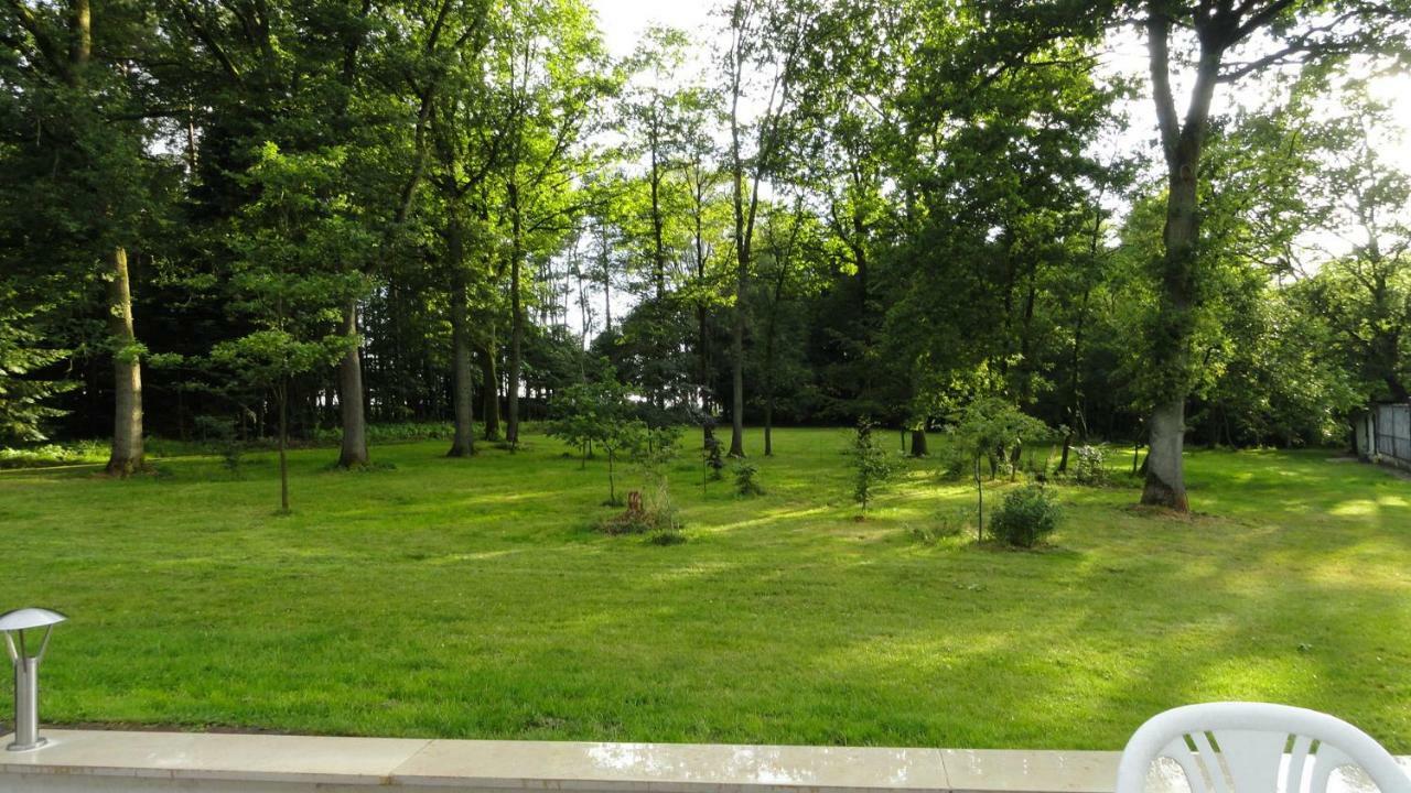 Ferienhaus Huus Ton Witten Barg Undeloh Εξωτερικό φωτογραφία